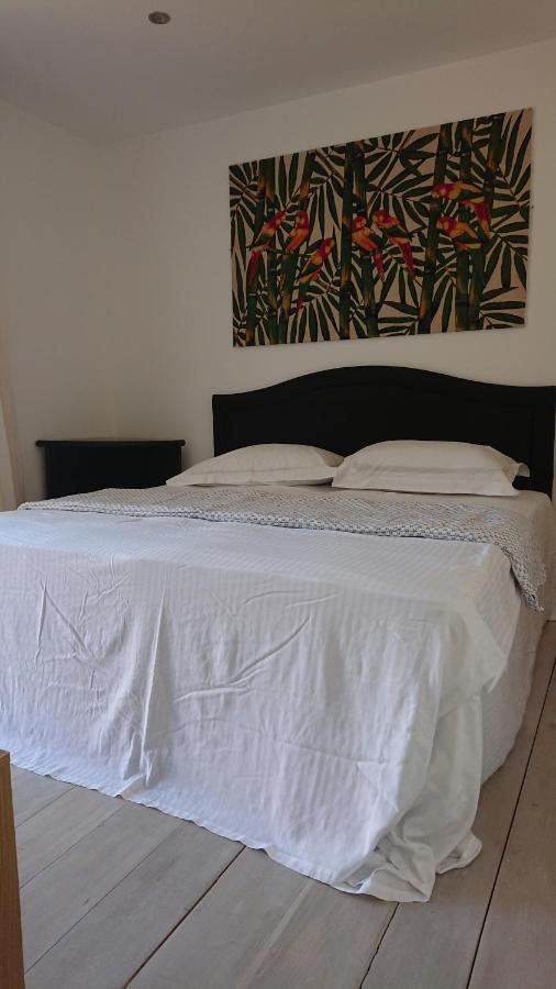 Surf Lookout - King Size En-Suite With Sea Views New Quay エクステリア 写真